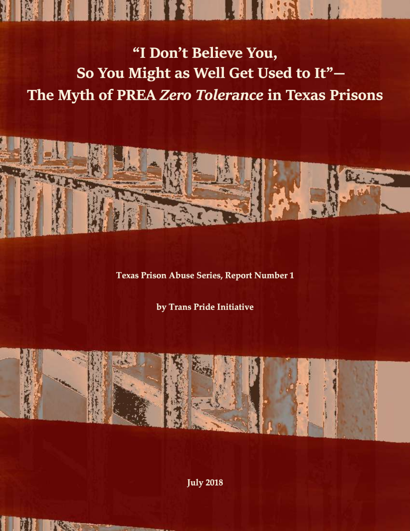 image of the cover of the TPI report Subverting Compliance