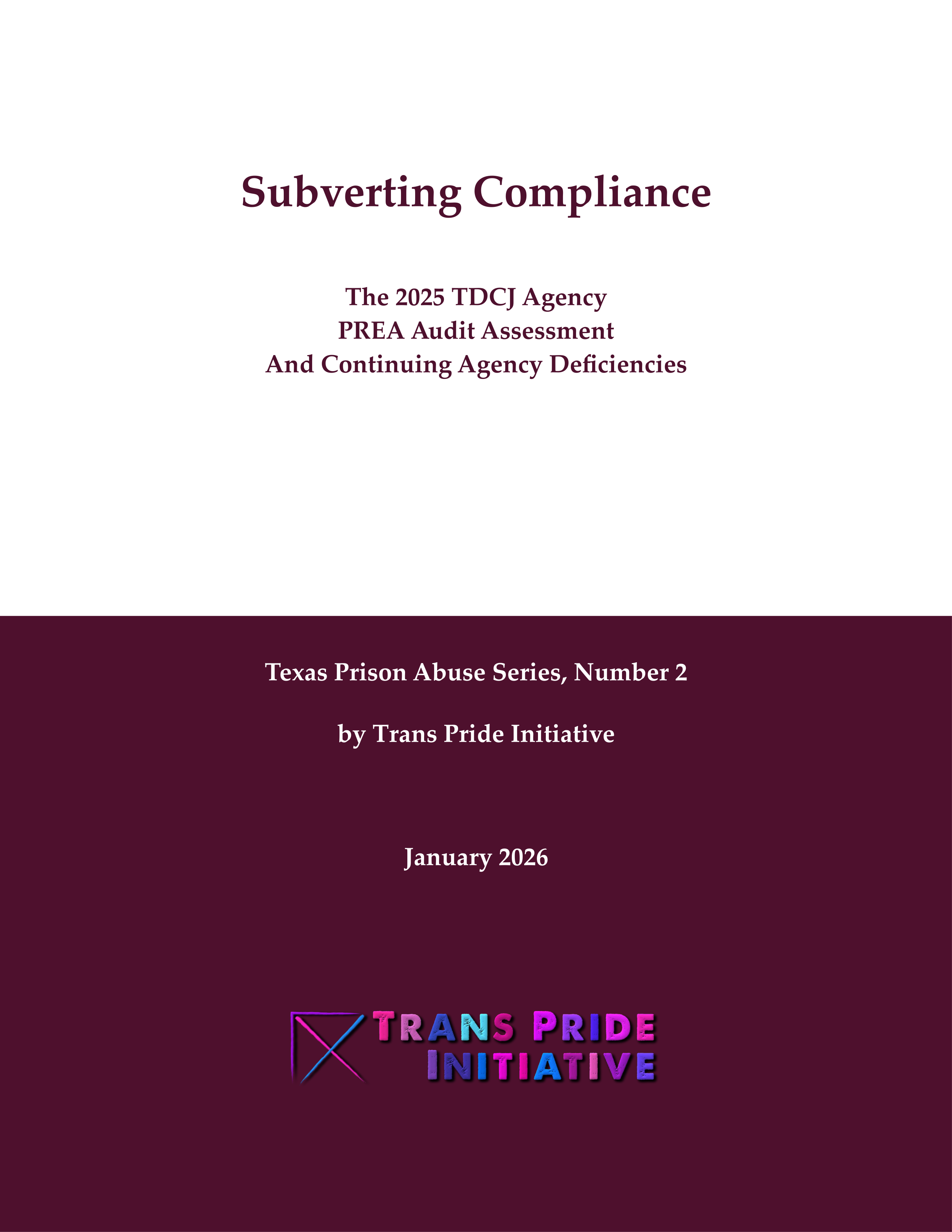 image of the cover of the TPI report Subverting Compliance